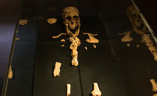 Lucy - oldest fossil in Ethiopia