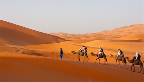 Camel Trek through Sahara